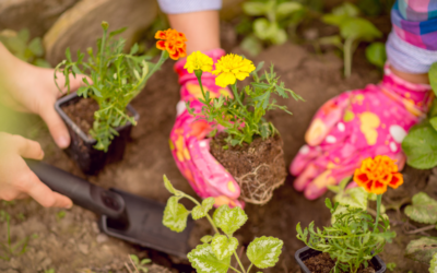 Gardening for Health: The Physical and Mental Benefits